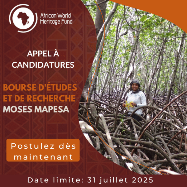 [Research Funding - 31 July 2025] AWHF- Moses Mapesa Research Grant – Image 3