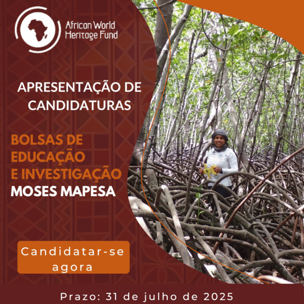 [Research Funding - 31 July 2025] AWHF- Moses Mapesa Research Grant – Image 2