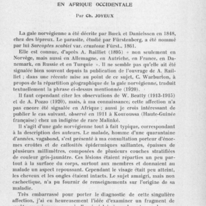 Sur un cas de gale norvégienne en Afrique occidentale