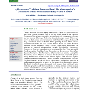 Manioc fermenté africain : rôle des microorganismes pour nutrition et sécurité