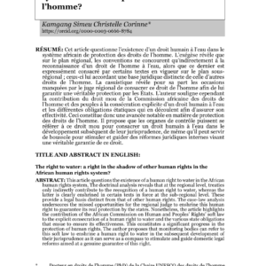 Droit à l'eau en Afrique : Reconnaissance et protection des droits humains