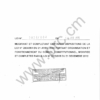 Loi : Vacance Présidence et Conseil Constitutionnel (Cameroun)