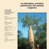 Sphingidae : Pollinisateurs des baobabs endémiques de Madagascar
