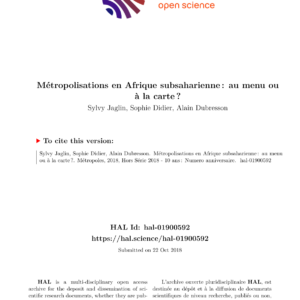Métropolisation en Afrique subsaharienne : enjeux et approches conceptuelles