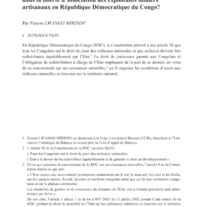 Coopératives minières et liberté d'association des mineurs artisanaux en RDC