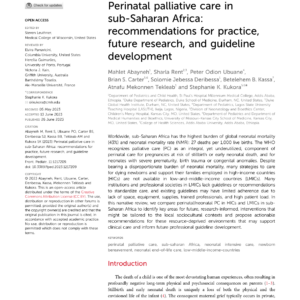 Soins palliatifs périnataux en Afrique subsaharienne : Recommandations