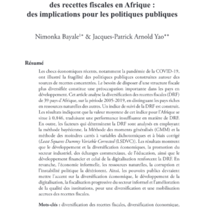 Diversification fiscale en Afrique : analyse et implications politiques