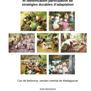 Madagascar : Stratégies durables pour la subsistance paysanne en crise